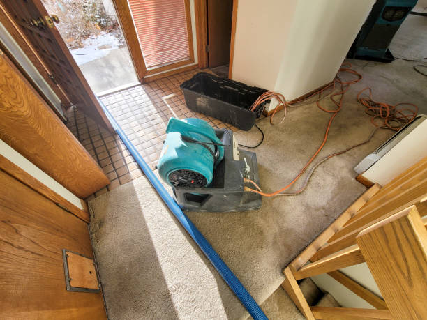 Best Commercial water damage restoration  in Niwot, CO