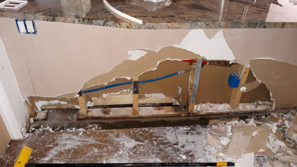 Best Emergency water damage restoration  in Niwot, CO