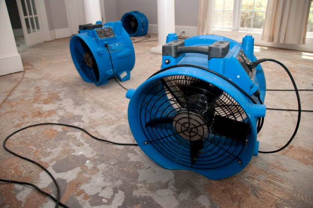 Best Fire Damage Restoration  in Niwot, CO