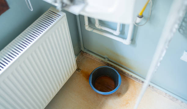 Best Sewage cleanup and water damage restoration  in Niwot, CO